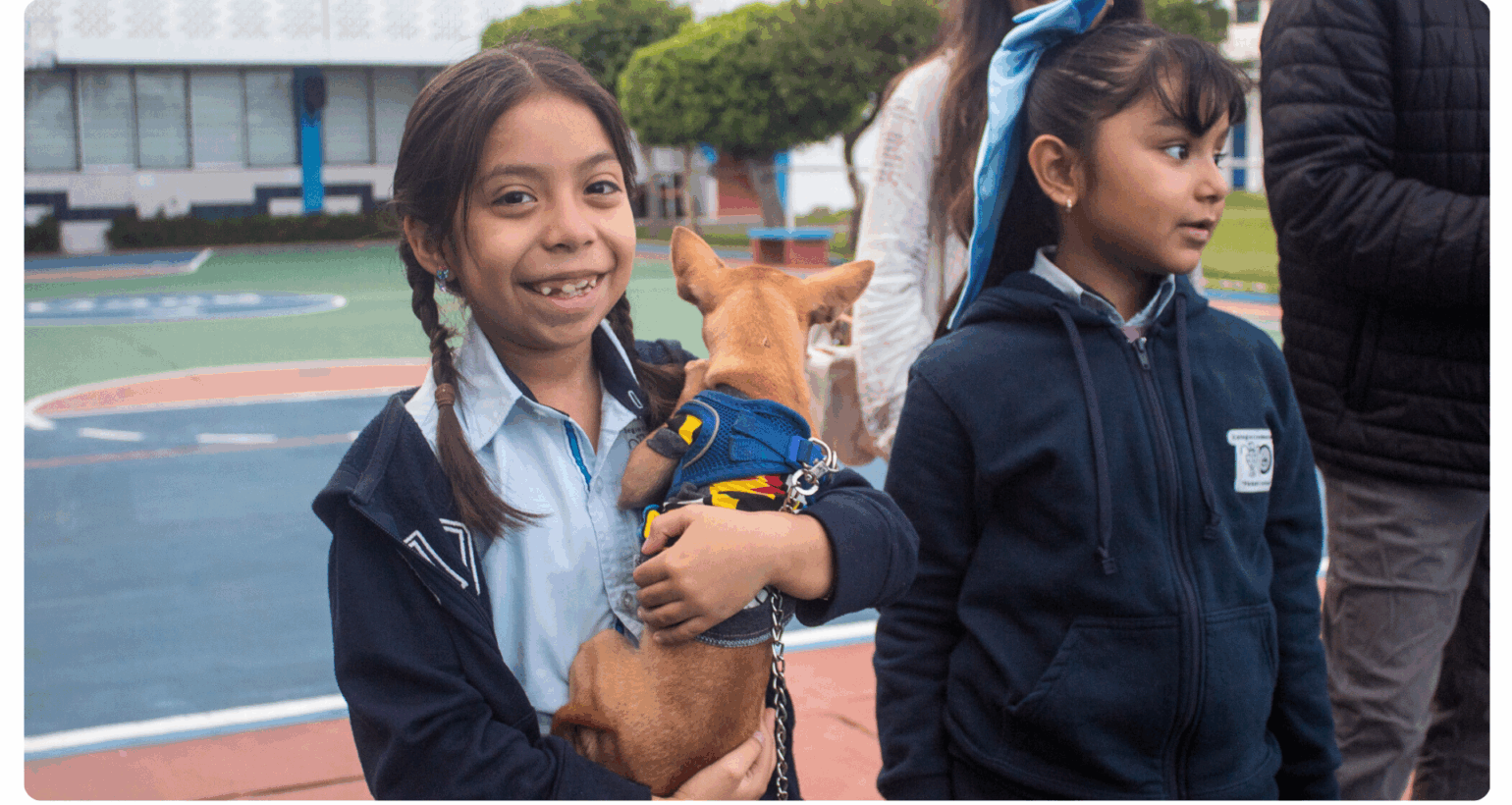 Bendición de Mascotas – Celebramos el Amor por la Creación en Todos Nuestros Niveles