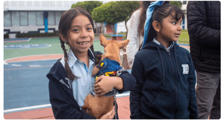 Bendición de Mascotas – Celebramos el Amor por la Creación en Todos Nuestros Niveles