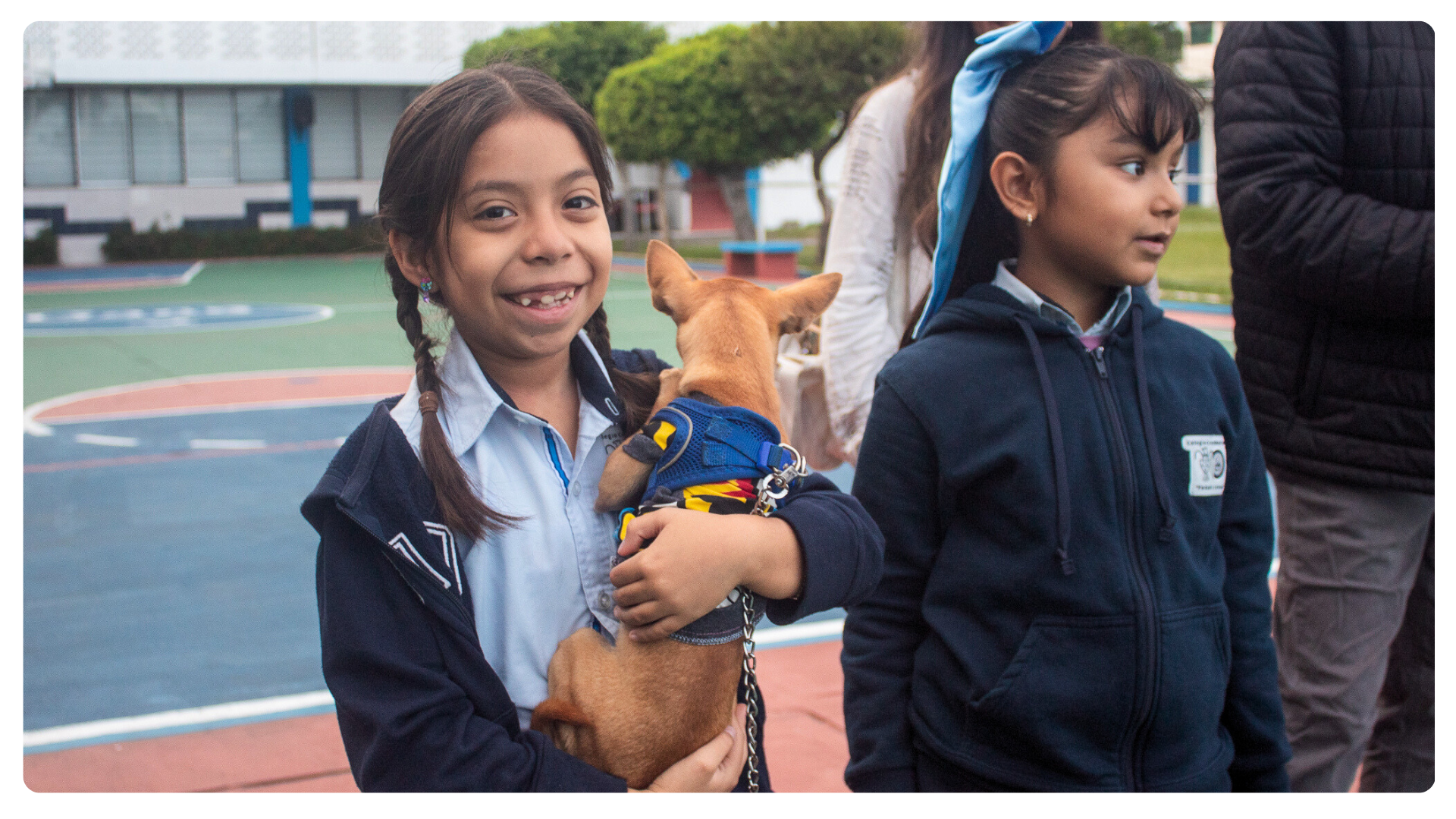 Bendición de Mascotas – Celebramos el Amor por la Creación en Todos Nuestros Niveles